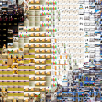 Rosie mosaic at 5x zoom